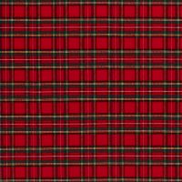 Schotse ruit  stretch / tartan steward red small 