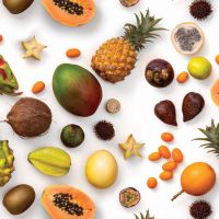 canvas digitaal bedrukt  tropical fruit wit