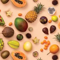 canvas digitaal bedrukt  tropical fruit licht zalm kleur