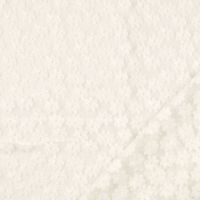 Tule kant met bloementjes ivory