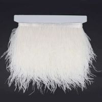 Rol 10mtr Band met struisvogel veren 12-15cm