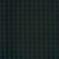 Schotse ruit / tartan steward small dark blue green