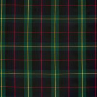 Schotse ruit / tartan steward donker groen, blauw , rood en geel